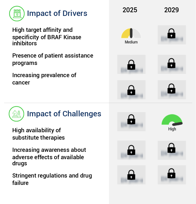 BRAF Kinase Inhibitors Market Size