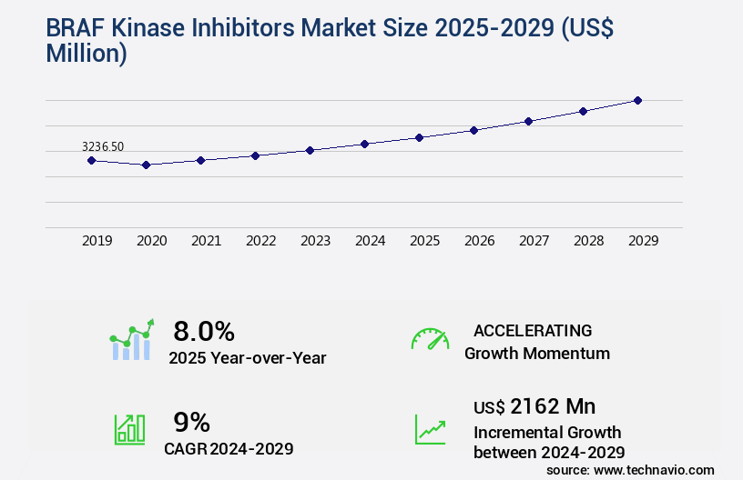 BRAF Kinase Inhibitors Market Size