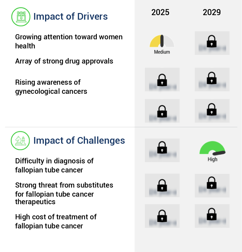 Fallopian Tube Cancer Therapeutics Market Size
