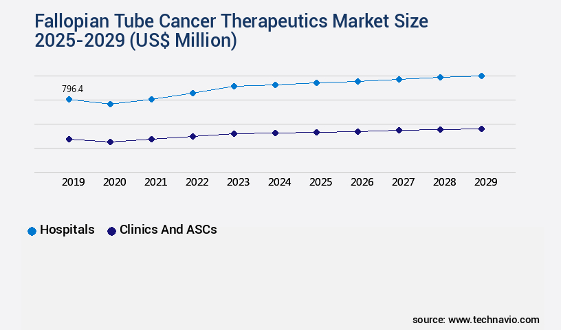 Fallopian Tube Cancer Therapeutics Market Size