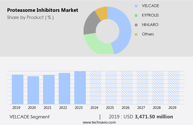 Proteasome Inhibitors Market Size