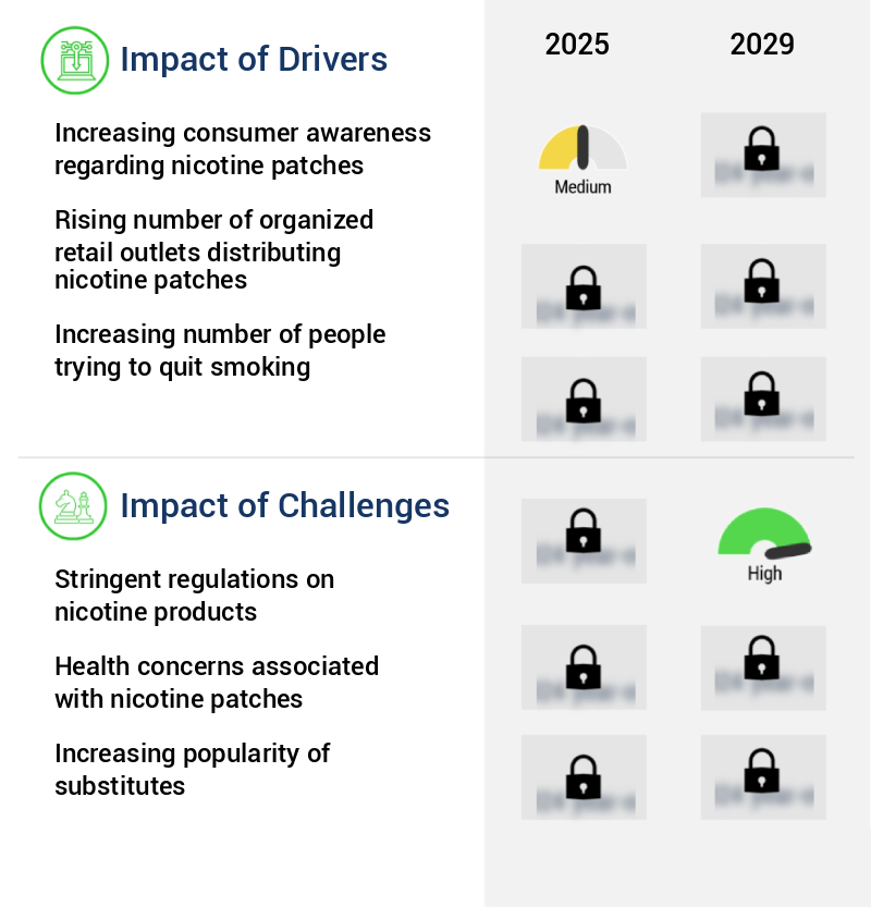 Nicotine Patch Market Size