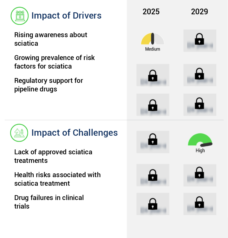 Sciatica Treatment Market Size