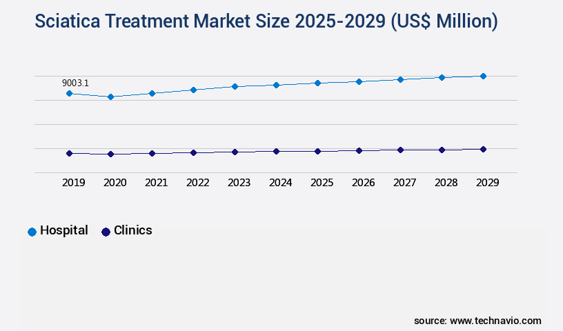 Sciatica Treatment Market Size