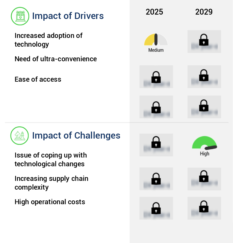 Instant Grocery Market Size