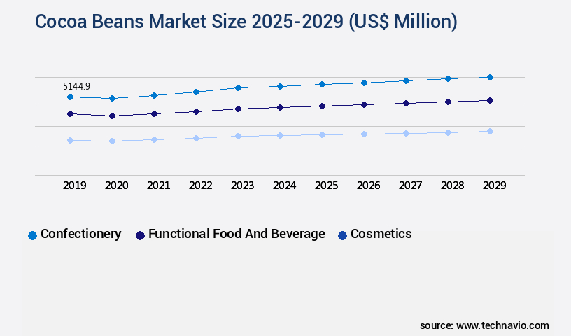 Cocoa Beans Market Size