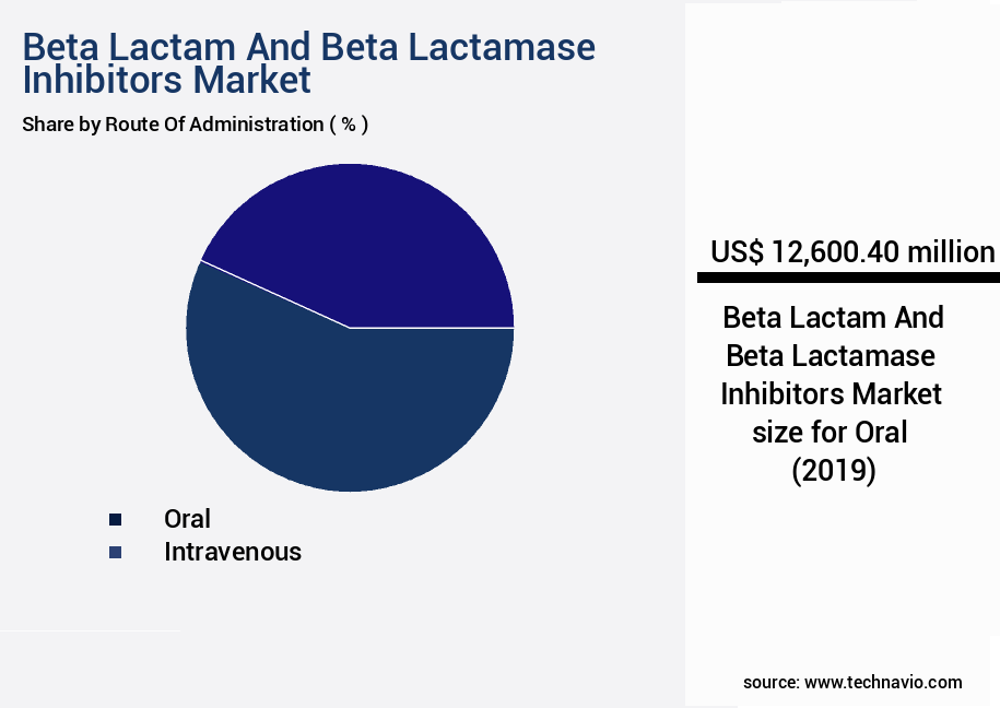 Beta Lactam And Beta Lactamase Inhibitors Market Size