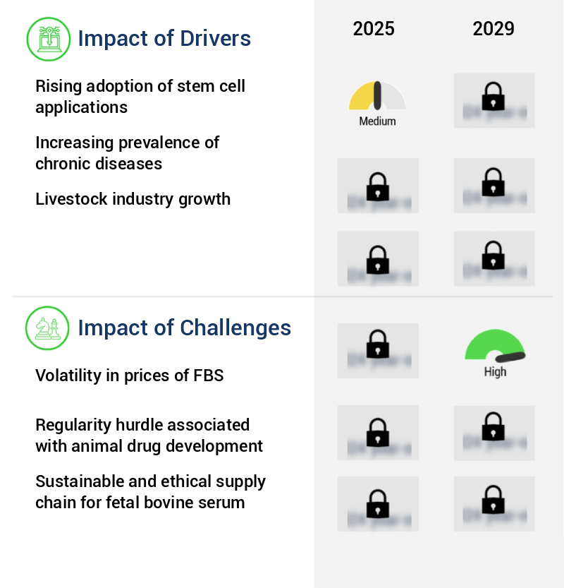 Fetal Bovine Serum Market Size
