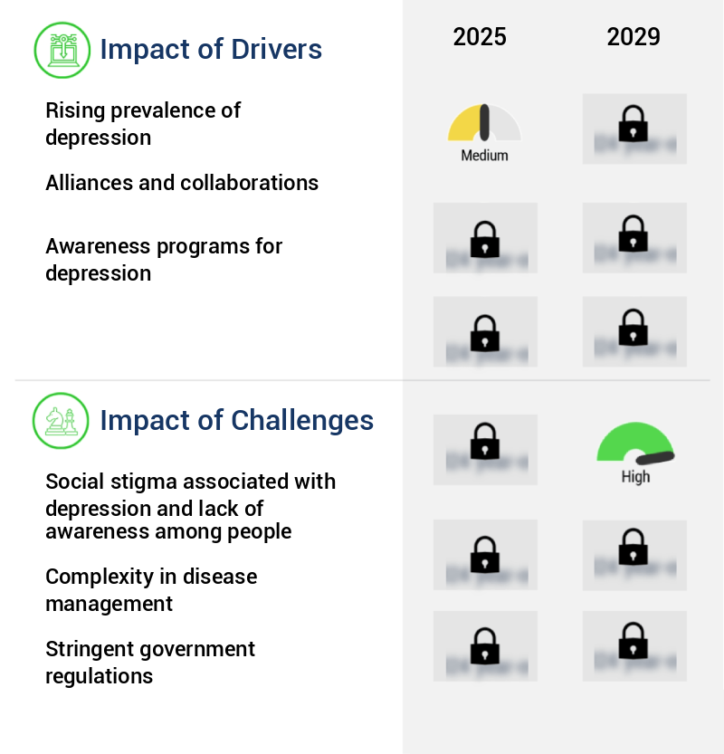 Antidepressants Drugs Market Size