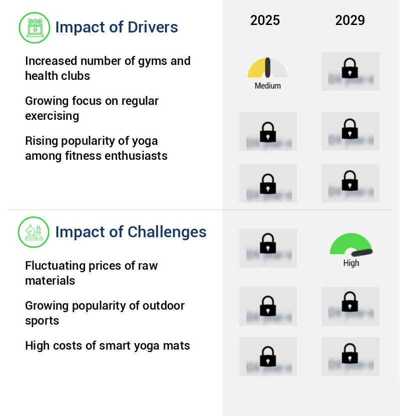 Smart Yoga Mat Market Size