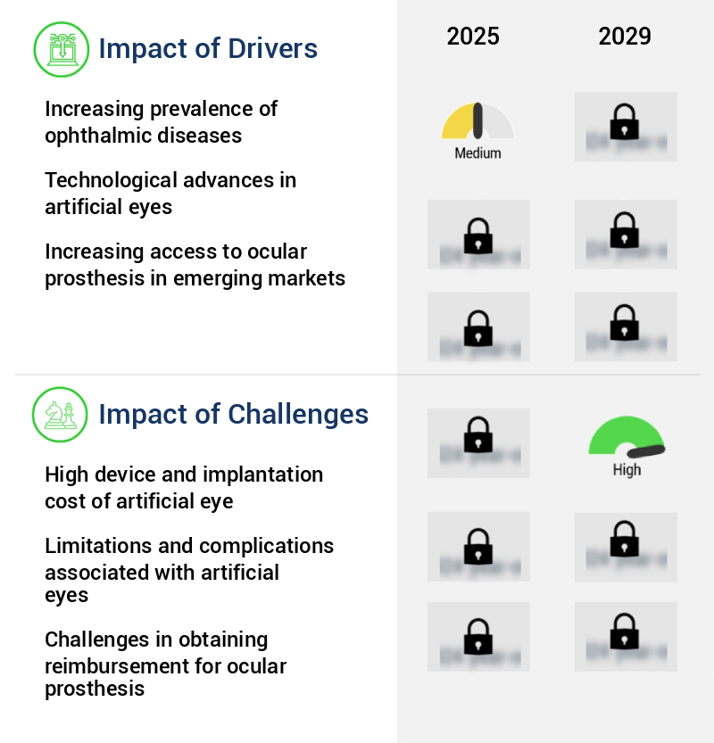 Artificial Eye Market Size