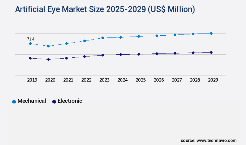 Artificial Eye Market Size