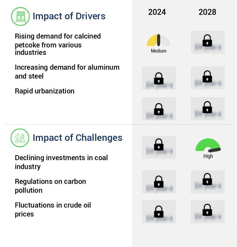 Calcined Petcoke Market Size