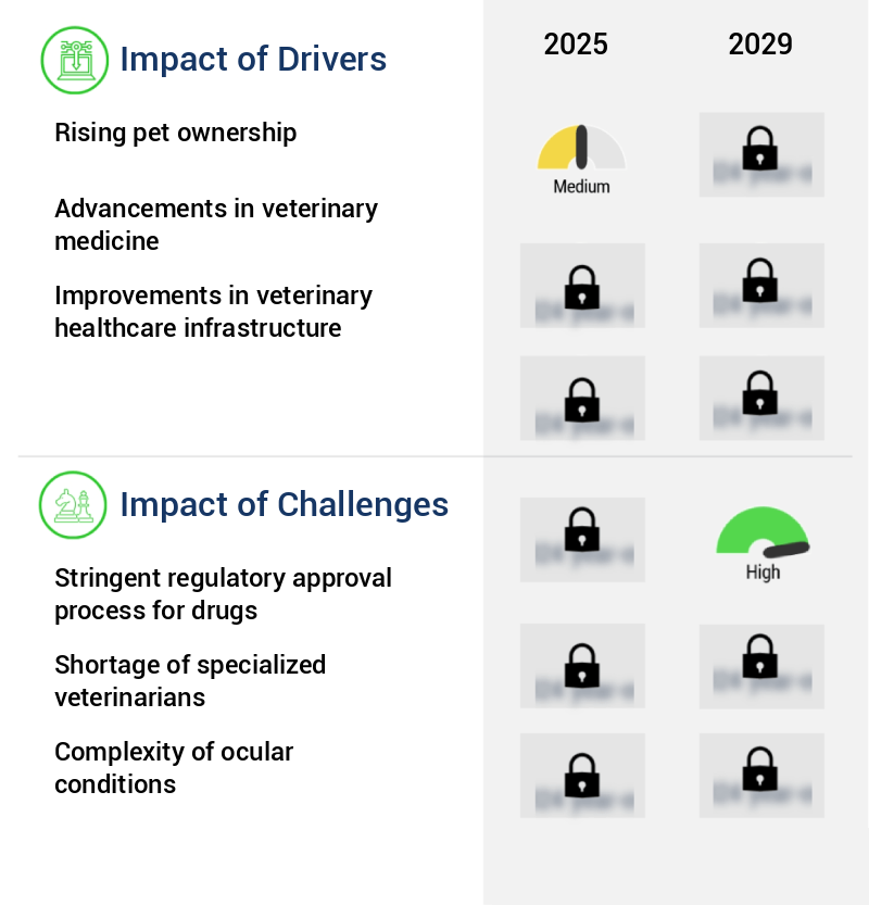 Veterinary Eye Care Market Size
