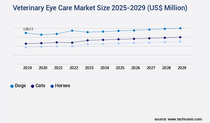 Veterinary Eye Care Market Size