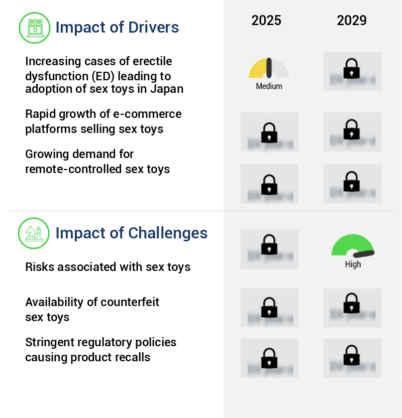 Sex Toys Market in Japan Size