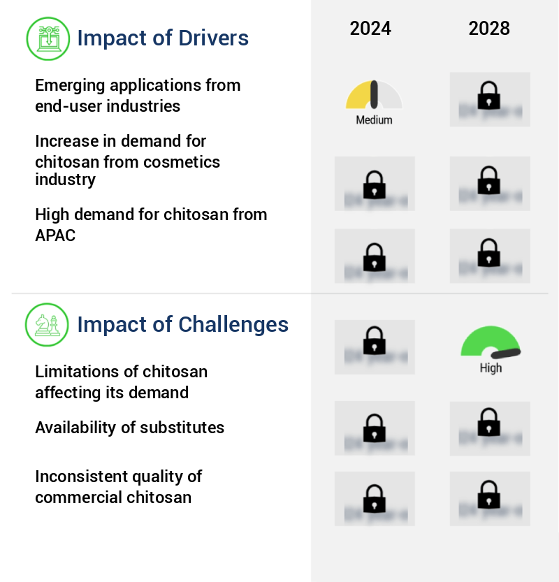 Chitosan Market Size
