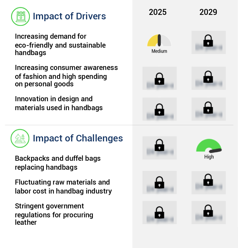 Handbags Market in Japan Size