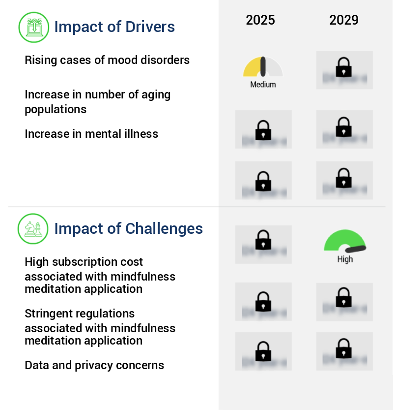Mindfulness Meditation Application Market Size
