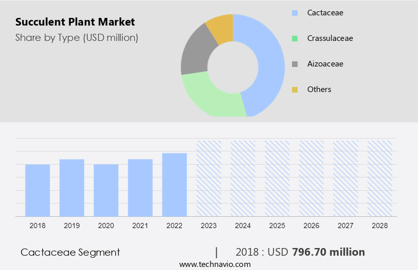 Succulent Plant Market Size