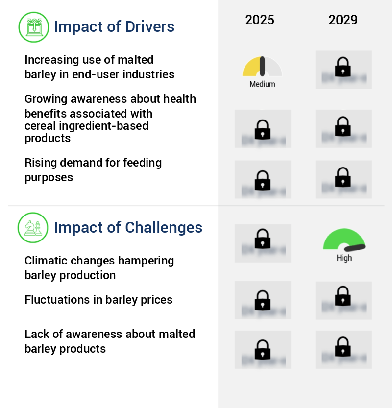 Malted Barley Market Size