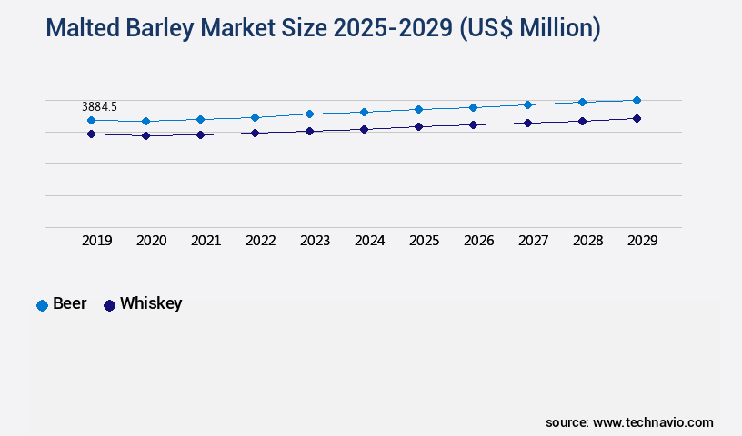 Malted Barley Market Size