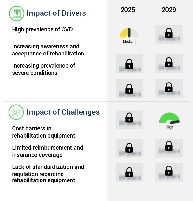 Rehabilitation Equipment Market Size