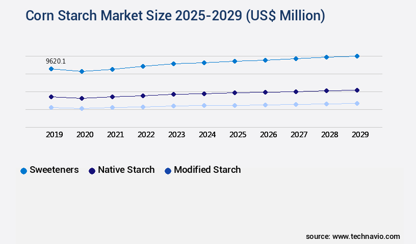 Corn Starch Market Size