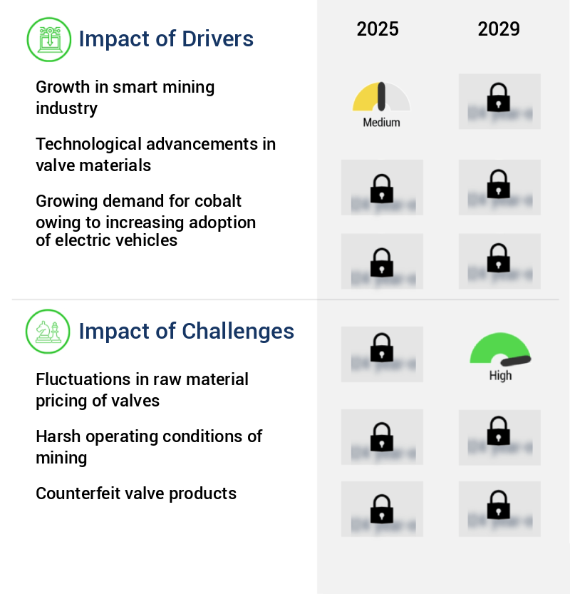 Valves In Mining Market Size