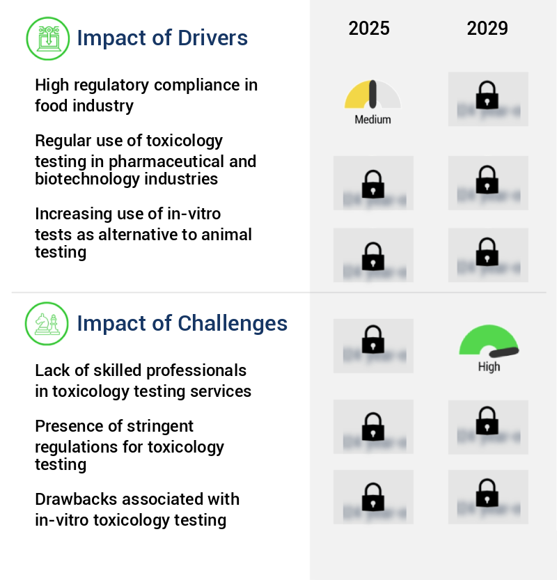 Toxicology Testing Market Size