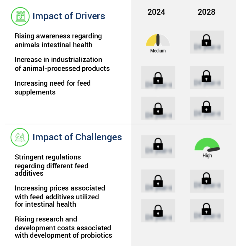 Animal Intestinal Health Market Size