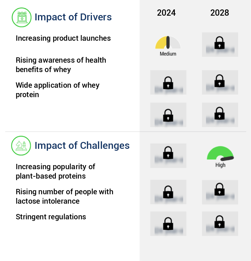 Whey Protein Market Size