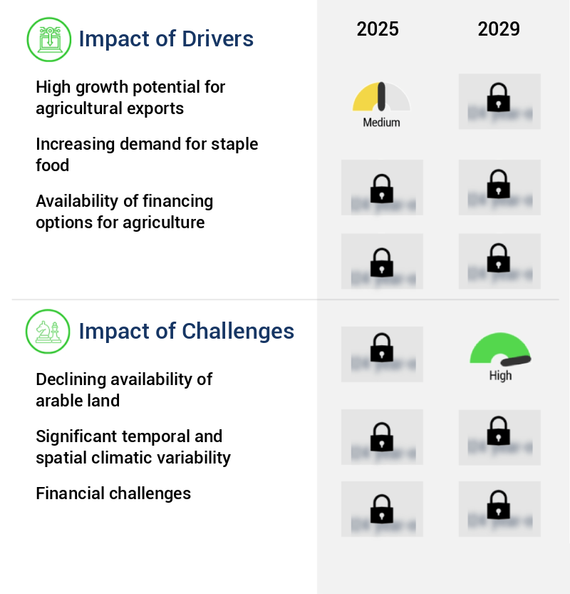 Agriculture Market in Argentina Size