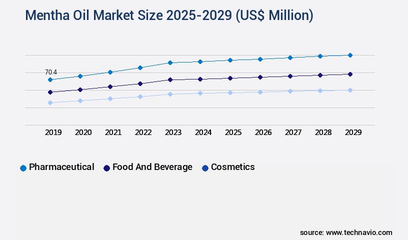 Mentha Oil Market Size