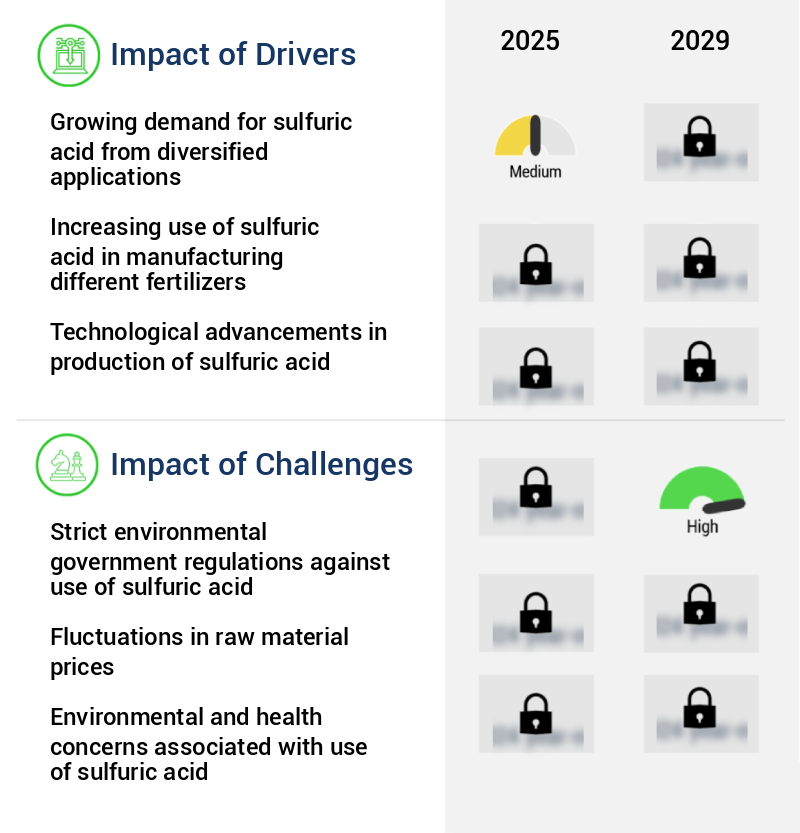 Sulfuric Acid Market in US Size