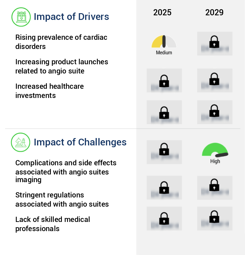 Angio Suites Market Size