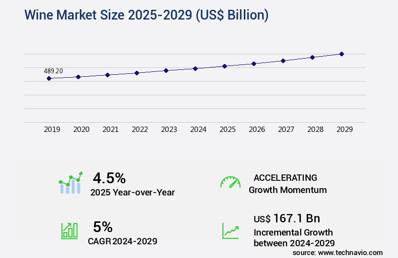 Wine Market Size