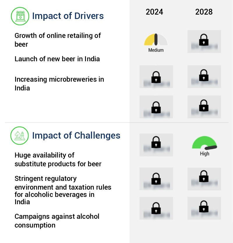 Beer Market in India Size