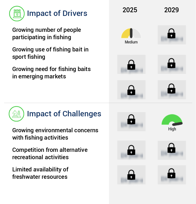 Fishing Bait Market Size