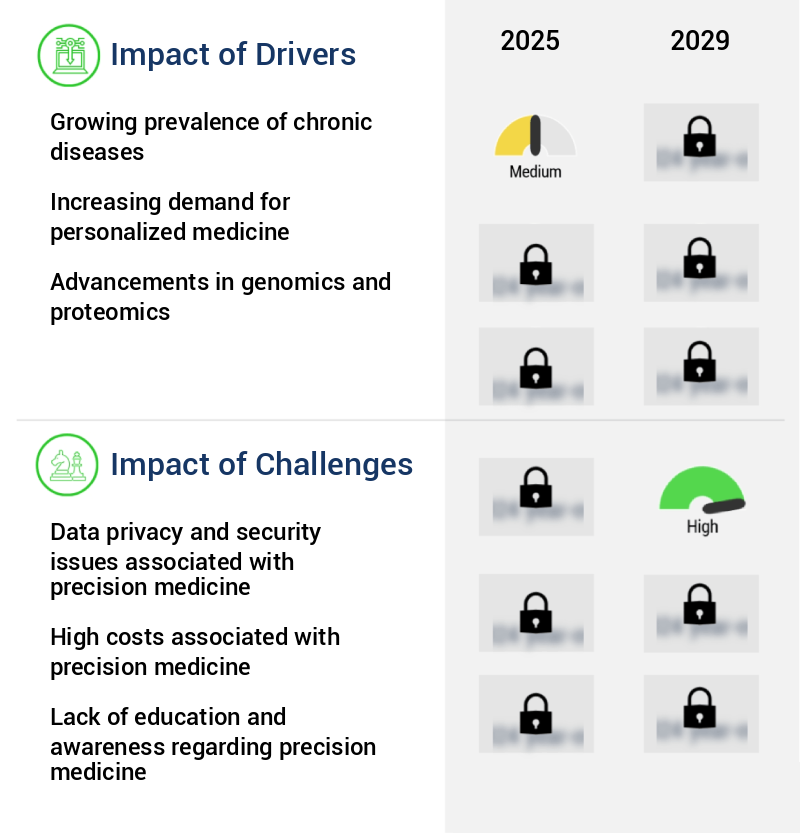 Precision Medicine Market Size