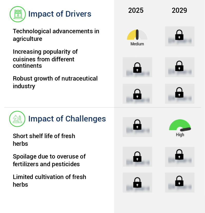 Fresh Herbs Market Size