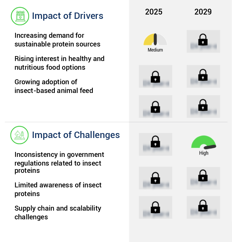 Insect Protein Market Size