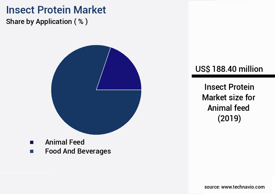 Insect Protein Market Size