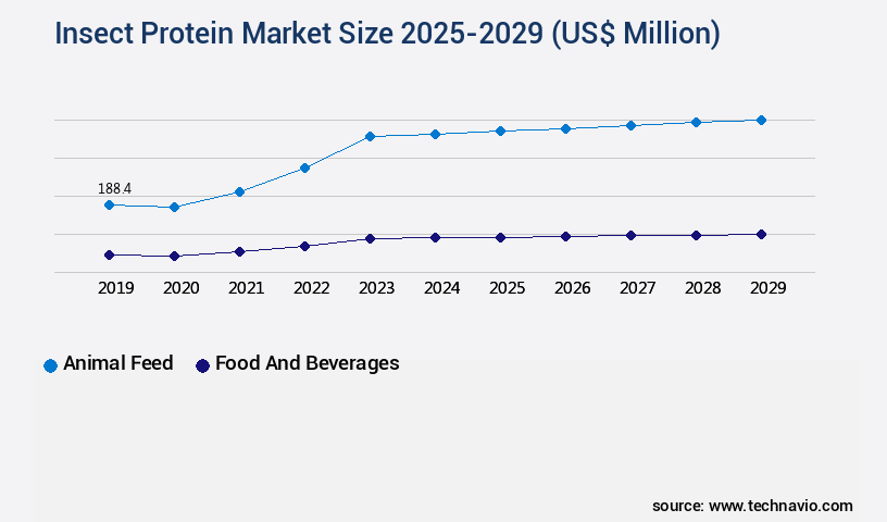 Insect Protein Market Size
