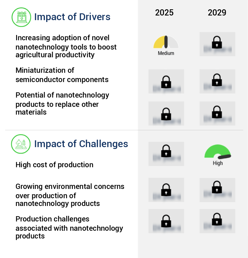 Nanotechnology Products Market Size