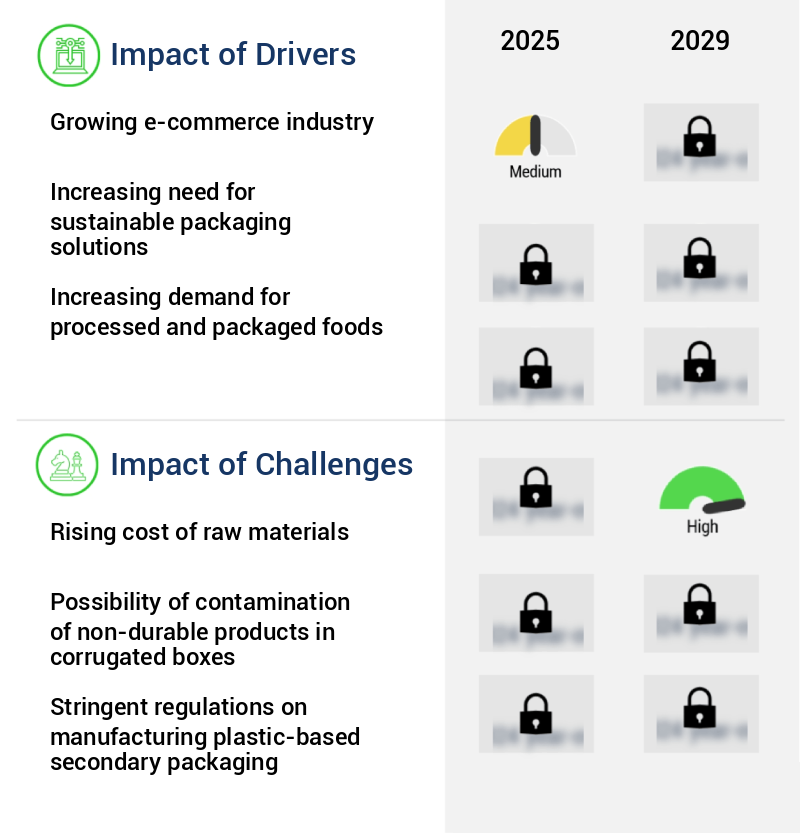 Secondary Packaging Market Size