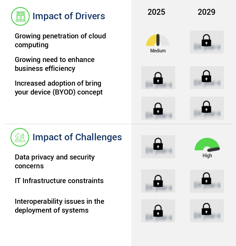 Multiexperience Development Platforms (MXDP) Market Size