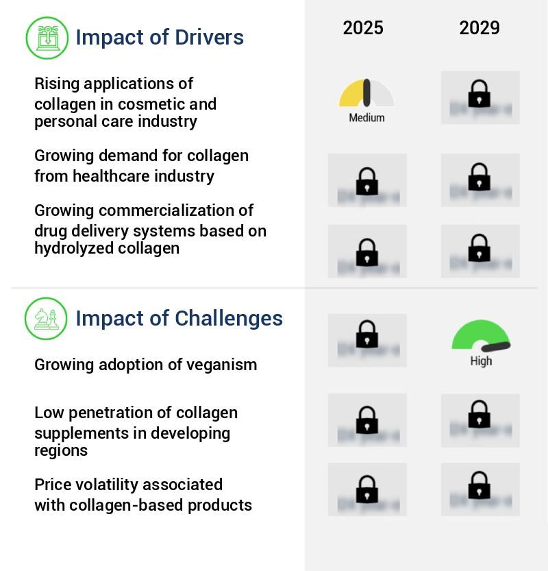 Collagen Market Size