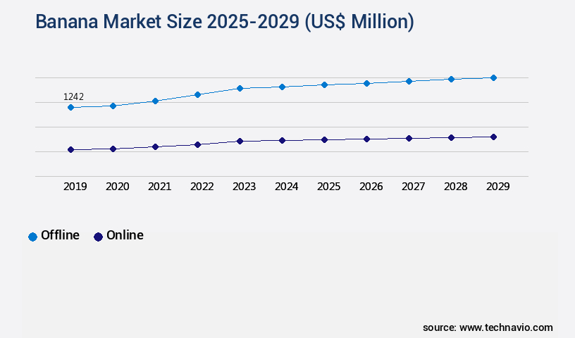 Banana Market Size