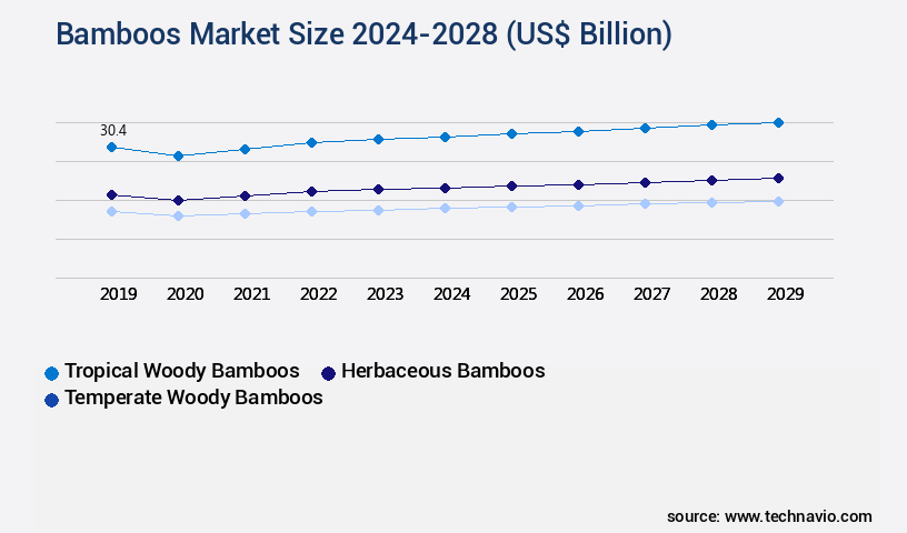Bamboos Market Size